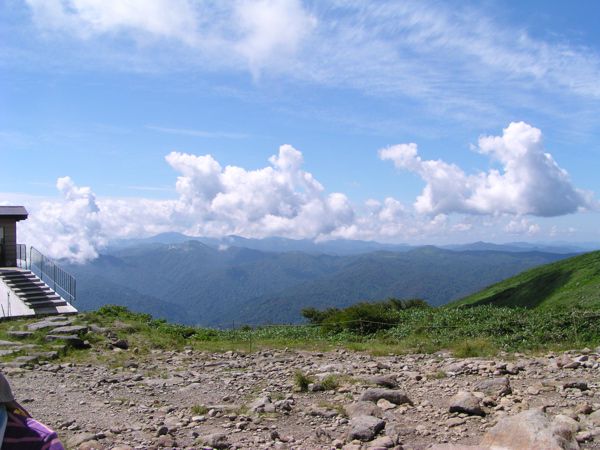 夏空歓迎