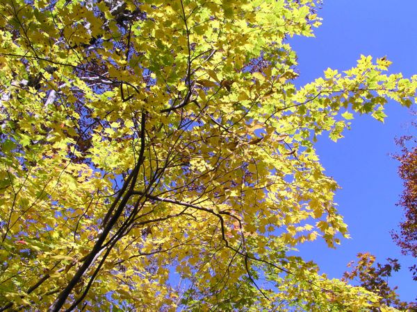 10/14志津地蔵沼2