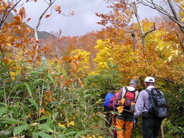 錦秋のトンネル