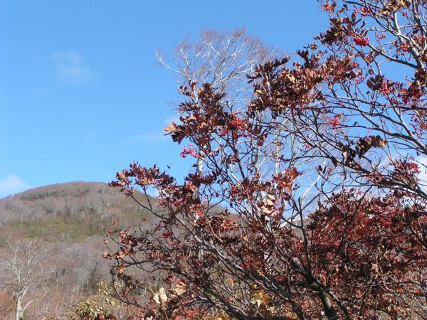 快晴の月山