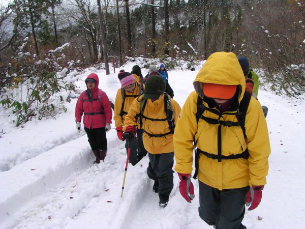 全面雪に