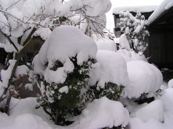 クリスマス寒波