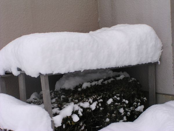 除雪