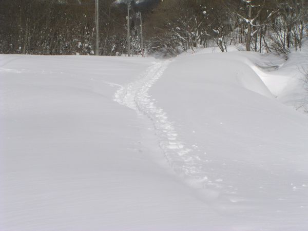 五色沼駐車場