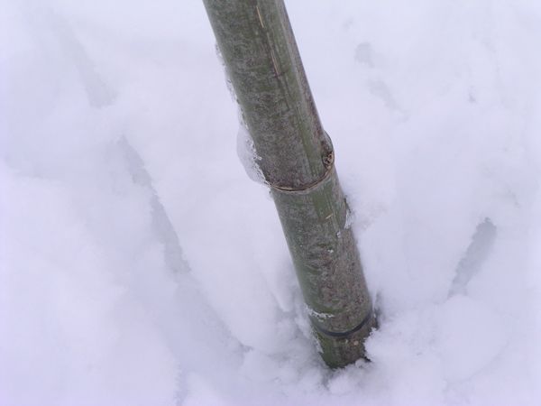 管理車道入り口