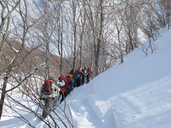 サラサラ雪