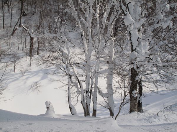 白い雪の塔