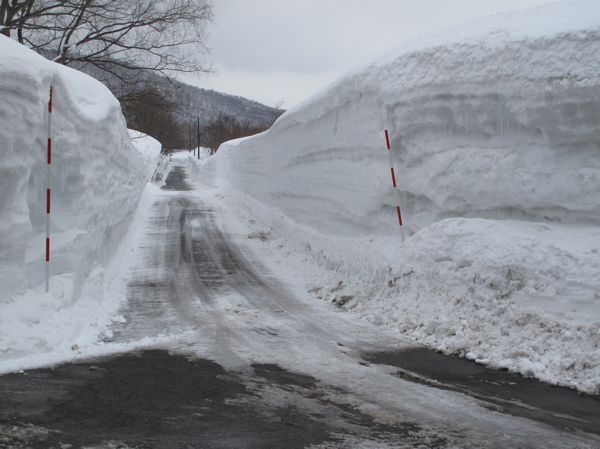 東西路