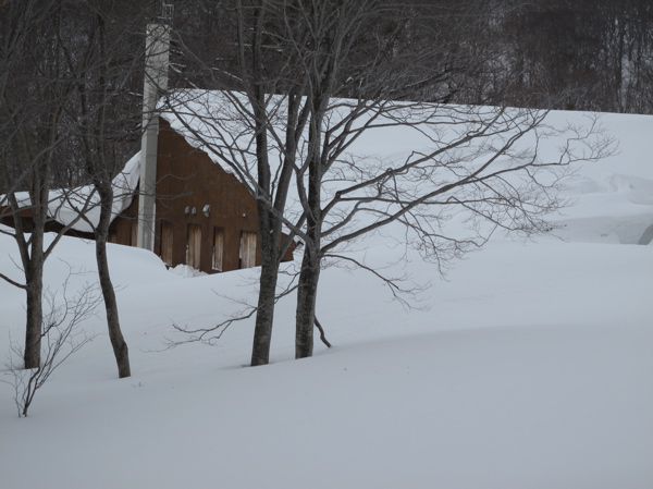 7mに近い雪