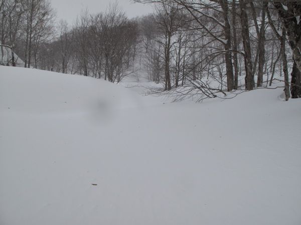 沢音閉鎖