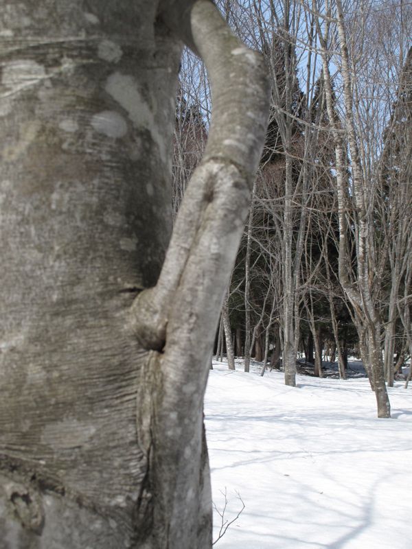 センス　オブ　ワンダー