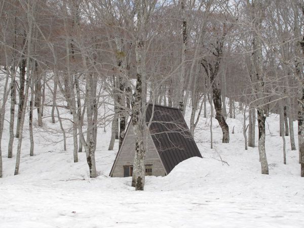 雪の中に