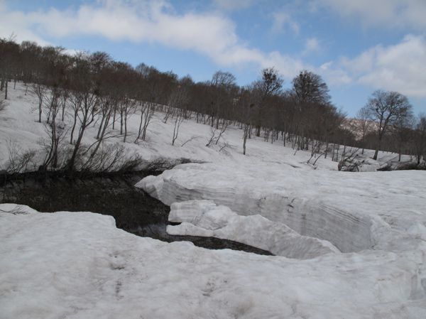 何時もと違う風景