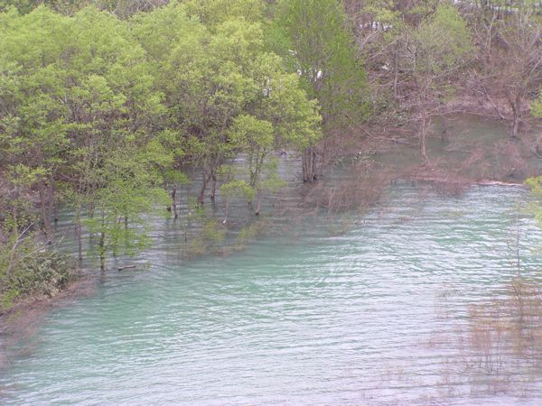 コバルトの中に