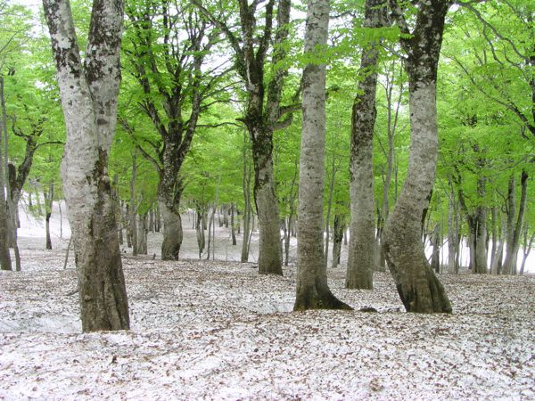 湯殿山下ろしで