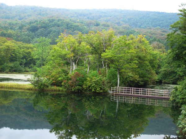 初秋の地蔵沼