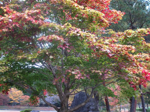 寒河江いこいの森