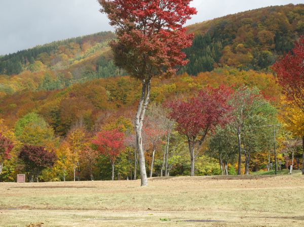 弓張り公園