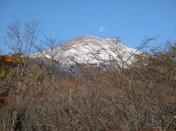 那須平成の森研修