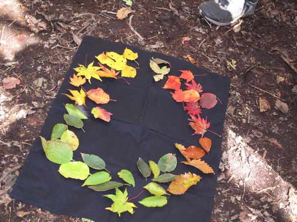 落ち葉でゲーム