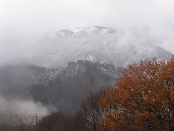 対岸の風景を