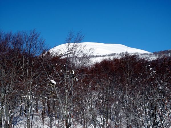 見る方向で