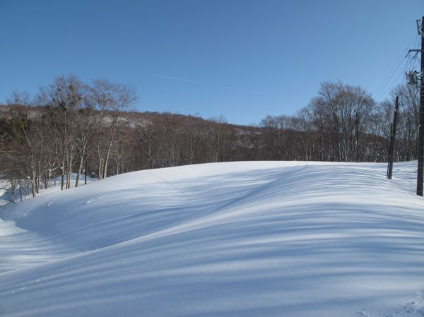 今は空白の地