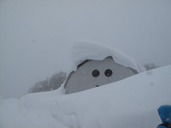 雪の中に