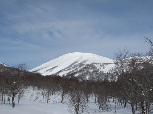 下皮松から姥ヶ岳　