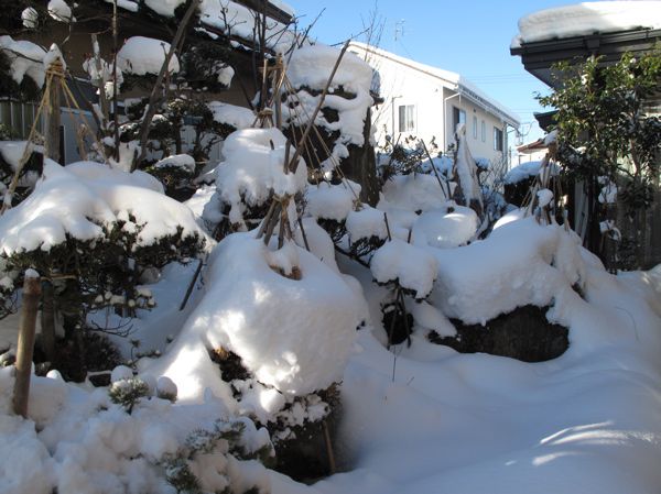 大雪の後