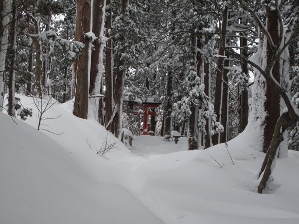 済館側からの鳥居