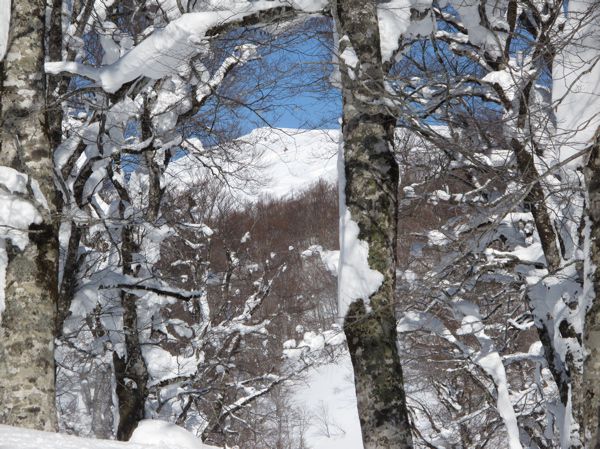 覗き見る月山が