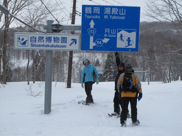 積雪　4m