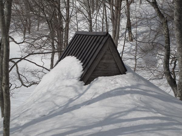 3/9　探鳥小屋