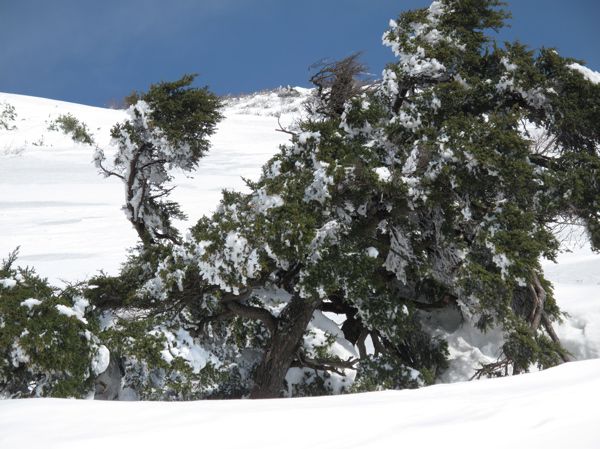 雪の大穴の中で