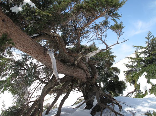 生きる逞しさ　1