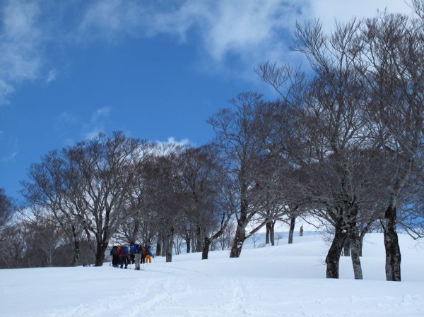 待ちきれないスキーヤー