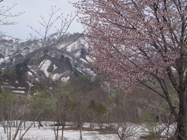 弓張りの早春賦
