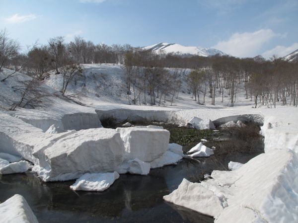 雪解けで湿地拡大