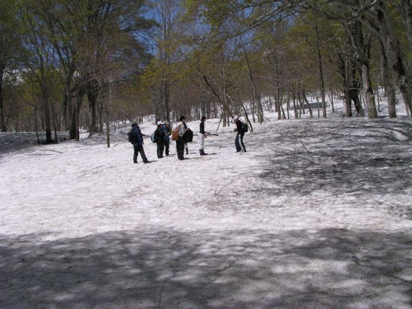 理数科の高校生