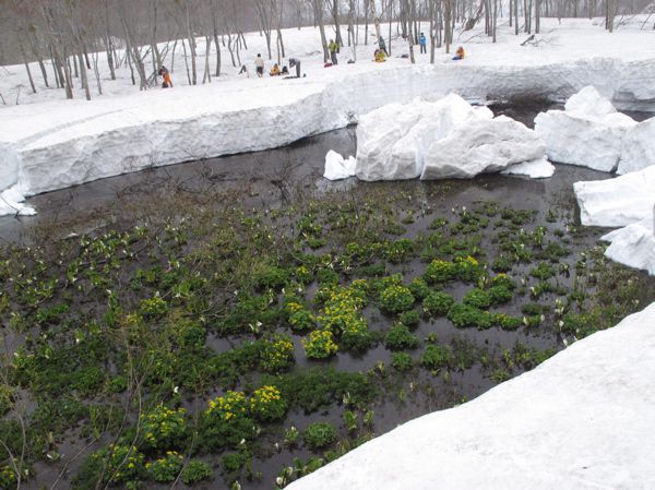 まるで氷山のよう