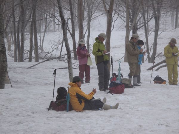 雪上スケッチ