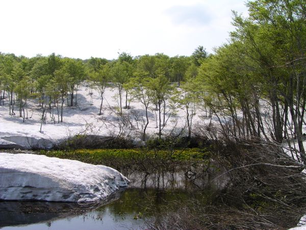 皮松谷地沼より　2