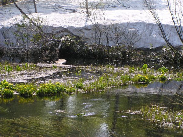 下皮松谷地沼より　1