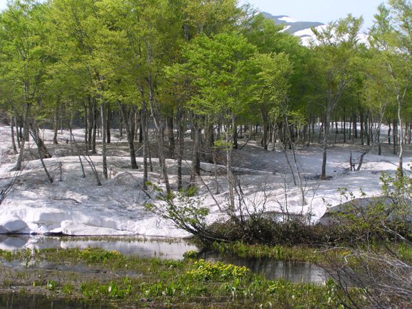 下皮松谷地沼より　2