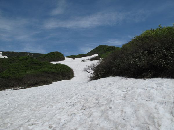 トレール雪の中