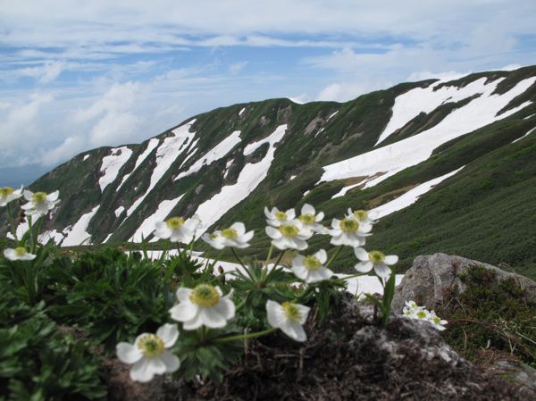 会えなかったが