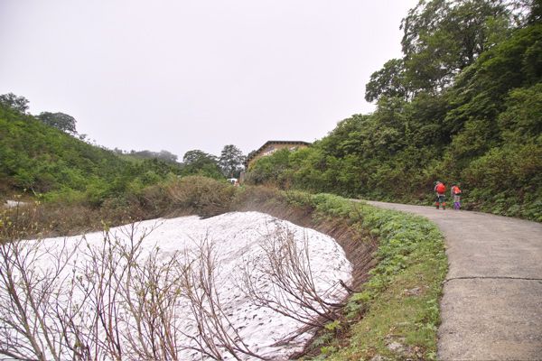 今にも降りそう