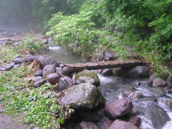 水害の後