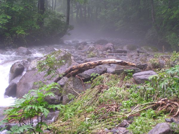 鉄砲水の威力